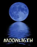 moonlight