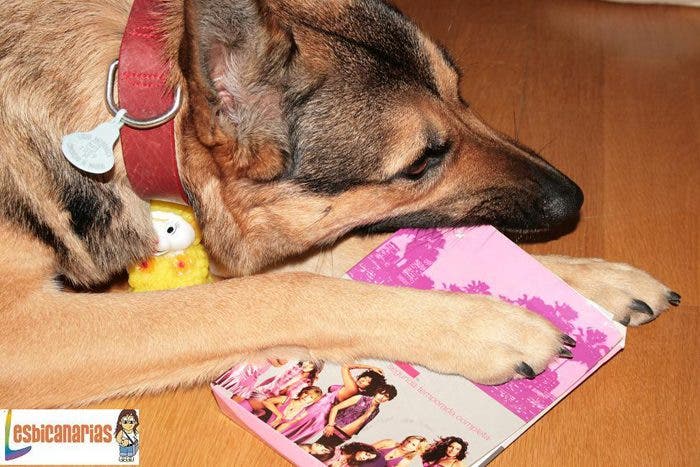 lesbicanarias-012 lesbicanarias-012