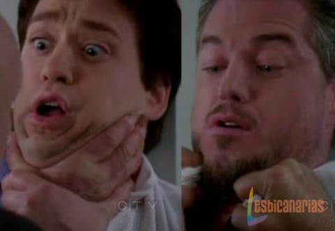 Anatom&iacute;a de Grey 5x20