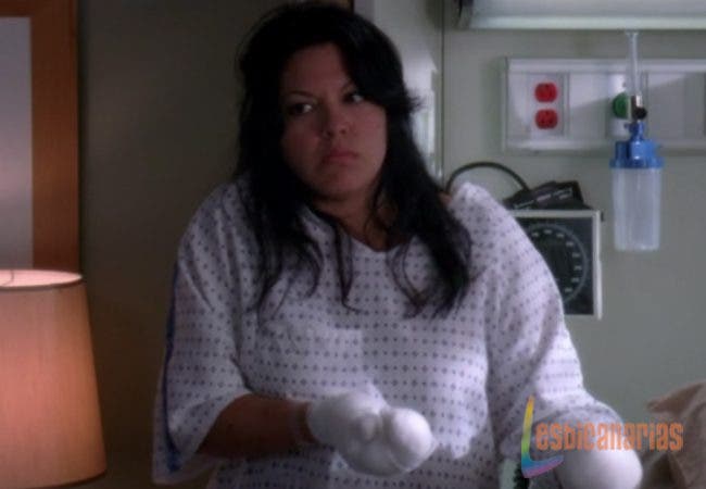 Callie y Arizona 6x12-04 Callie y Arizona 6x12-04
