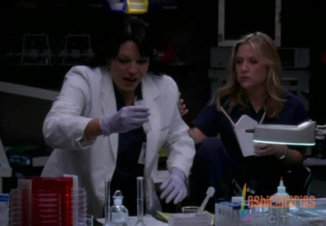Callie y Arizona 6x17-06 Callie y Arizona Anatomía de Grey