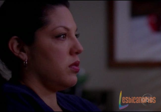 Callie y Arizona 6x19-05 Callie Anatomía de Grey