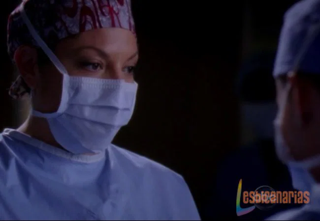 Callie y Arizona 6x22-02