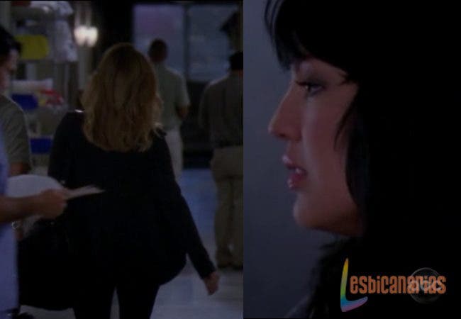 Callie y Arizona 6x22-10 Callie y Arizona Anatomía de Grey