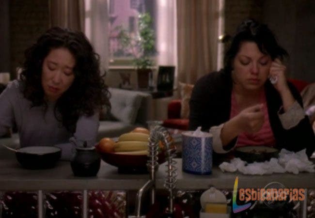 Callie y Arizona 6x23-01 Callie y Arizona