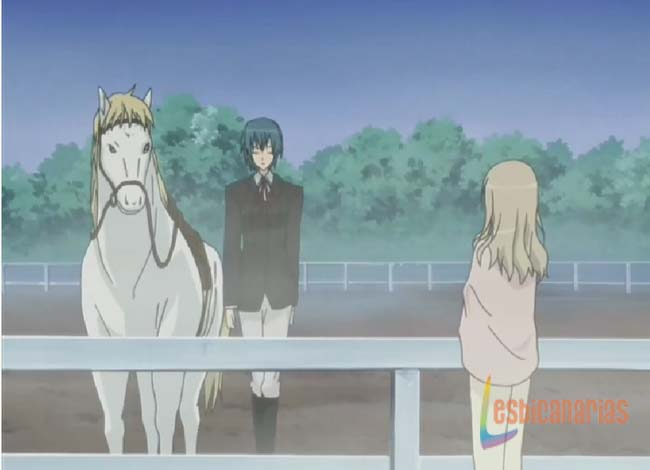 Strawberry Panic 3y4-10