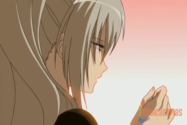 Strawberry Panic 5y6-12