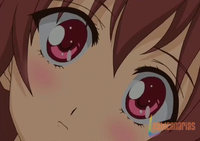 Strawberry Panic 11y12-06
