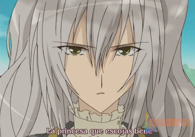 Strawberry Panic 11y12-08