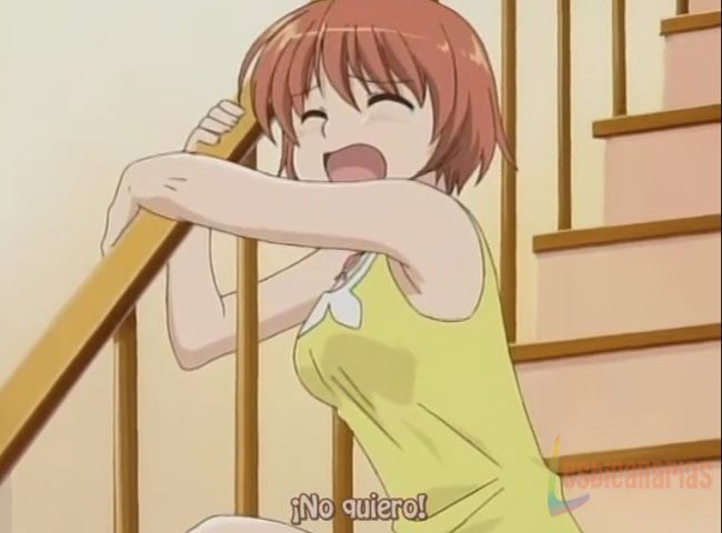 Kashimashi girl meets girl 7 y 8-10