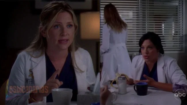 Callie y Arizona 7x03-01