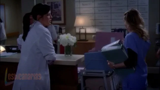 Callie y Arizona 7x03-03