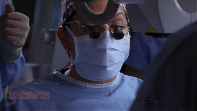 Callie y Arizona 7x06-07