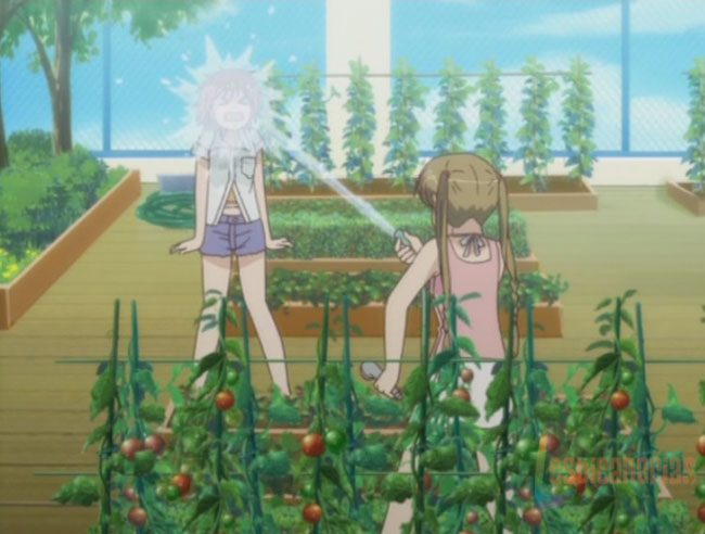 Kashimashi 11y 12-10