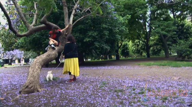 Plan V 2x03-04