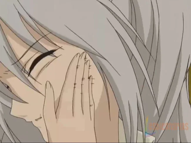 Strawberry Panic 21y22-02