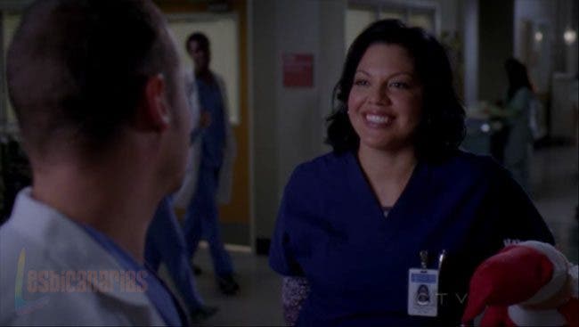 Callie y Arizona 7x10-06
