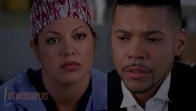 Callie y Arizona 7x12-08