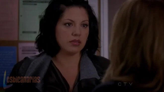 Callie y Arizona 7x12-13