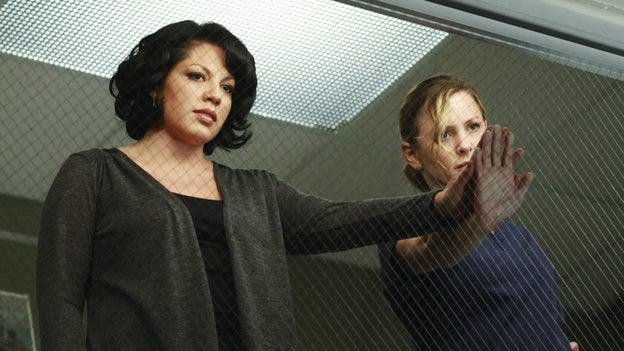 Callie y Arizona resumen de episodio 7×18