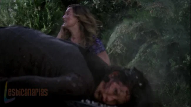 Callie y Arizona accidentadas