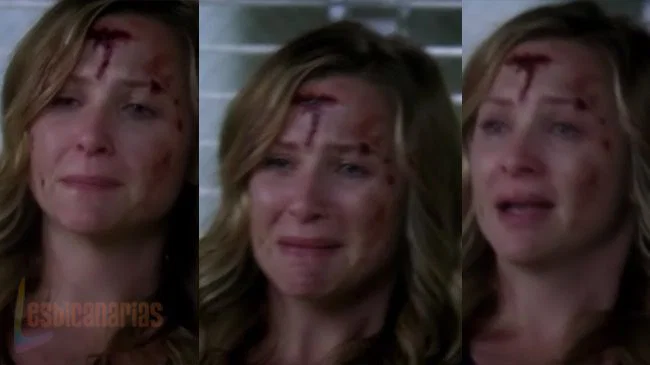 Callie y Arizona 7x18-03