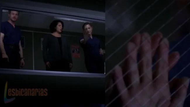 Callie y Arizona 7x18-16