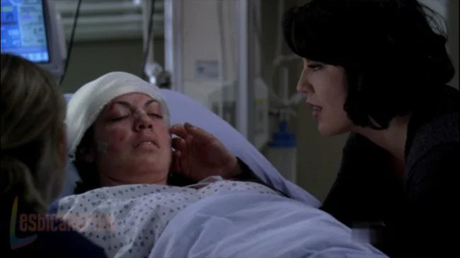 Callie y Arizona 7x18-19
