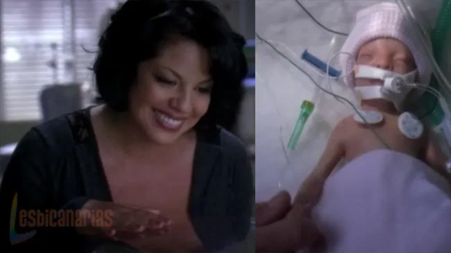 Callie y Arizona 7x18-20