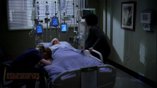 Callie y Arizona 7x18-21
