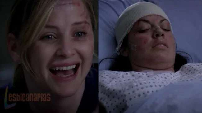 Callie y Arizona 7x18-22