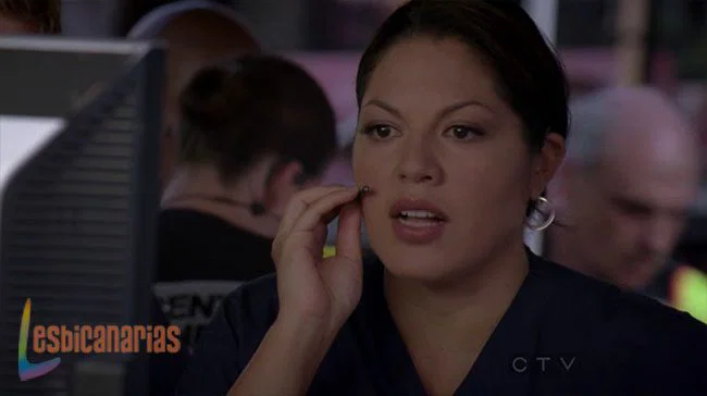 Callie y Arizona 8x01-8x02-04