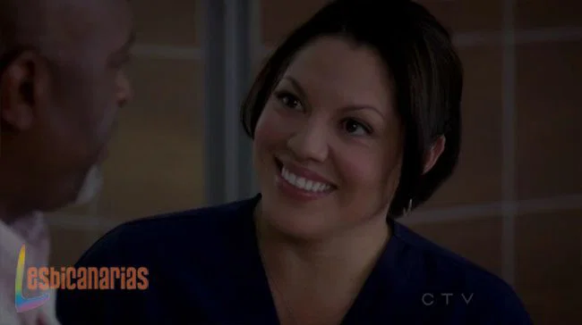 Callie y Arizona 8x01-8x02-05