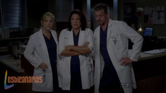 Callie y Arizona 8x01-8x02-08