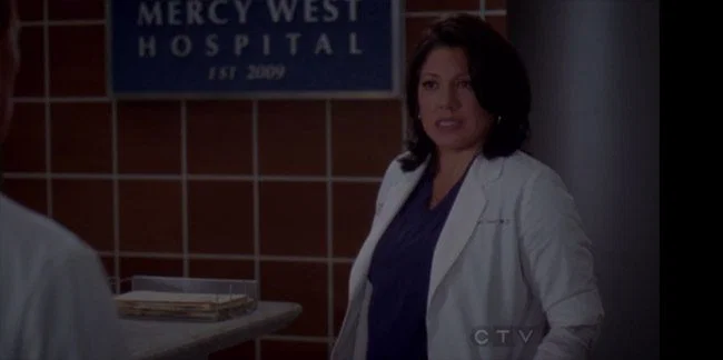 Callie y Arizona 8x03-06