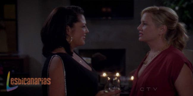Callie y Arizona resumen de episodio 8×05
