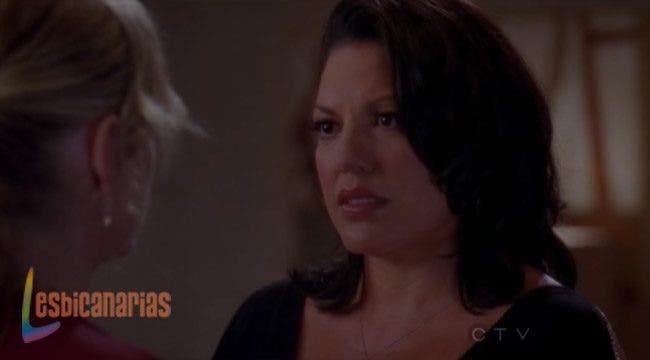 Callie y Arizona 8x05-09