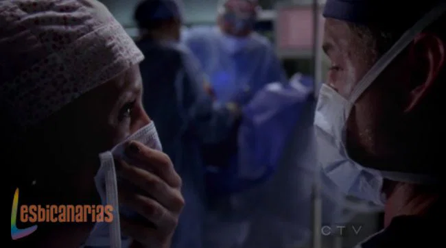 Callie y Arizona 8x06-04