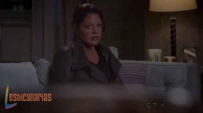 Callie y Arizona 8x06-06