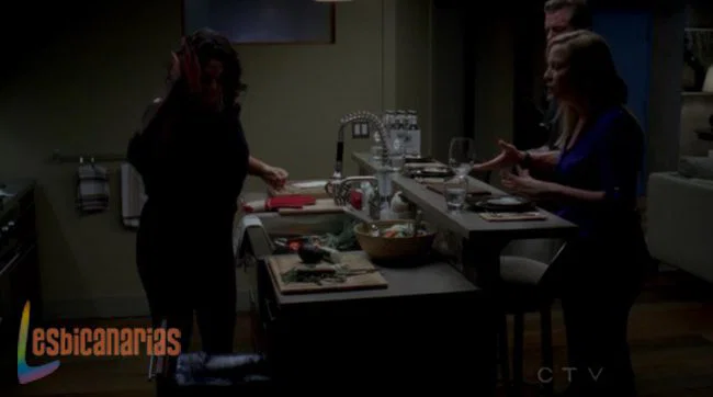 Callie y Arizona 8x06-09