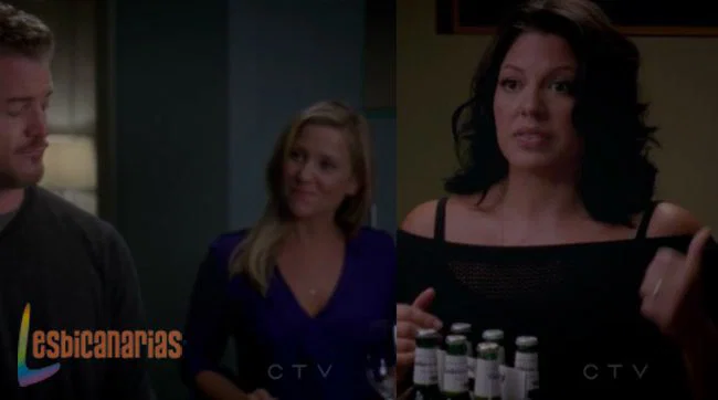 Callie y Arizona 8x06-10