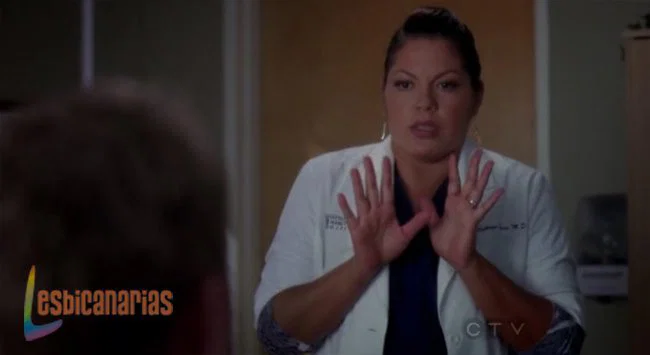 Callie y Arizona 8x07-04