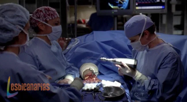 Callie y Arizona 8x07-05