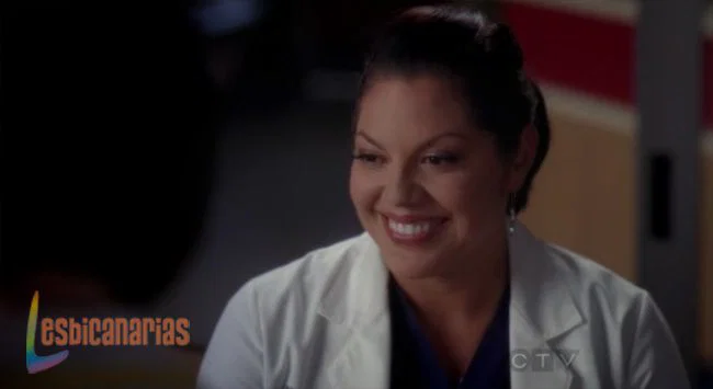 Callie y Arizona 8x07-06