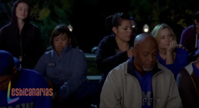 Callie y Arizona 8x07-09
