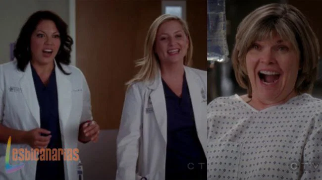 Callie y Arizona 8x08-02