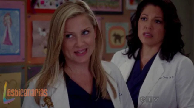 Callie y Arizona 8x08-03