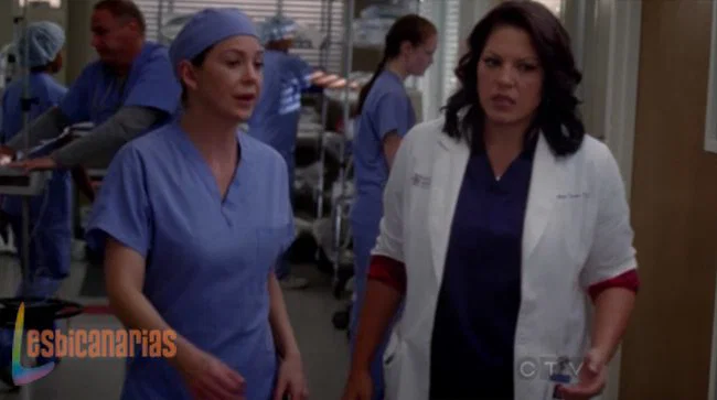 Callie y Arizona 8x08-05