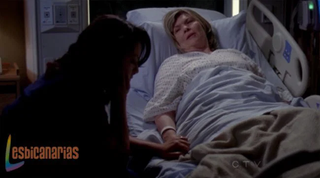 Callie y Arizona 8x08-07