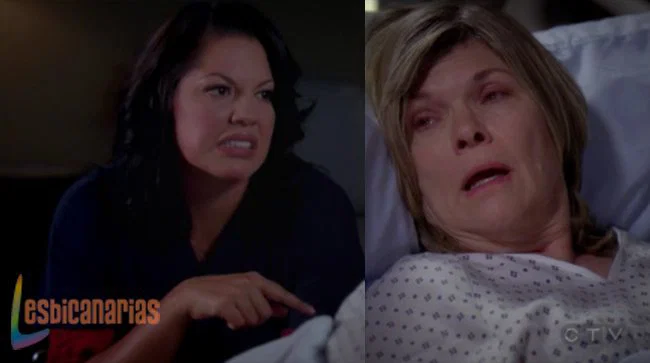 Callie y Arizona 8x08-08